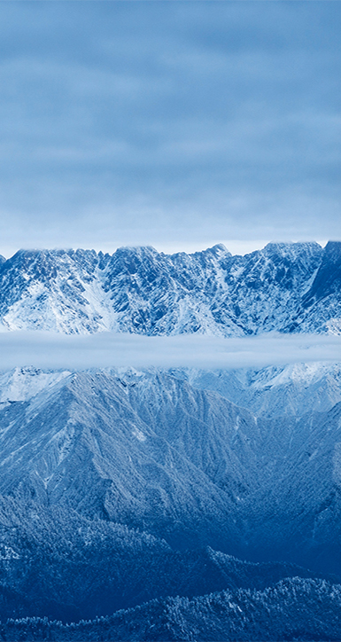 关于太平洋在线
